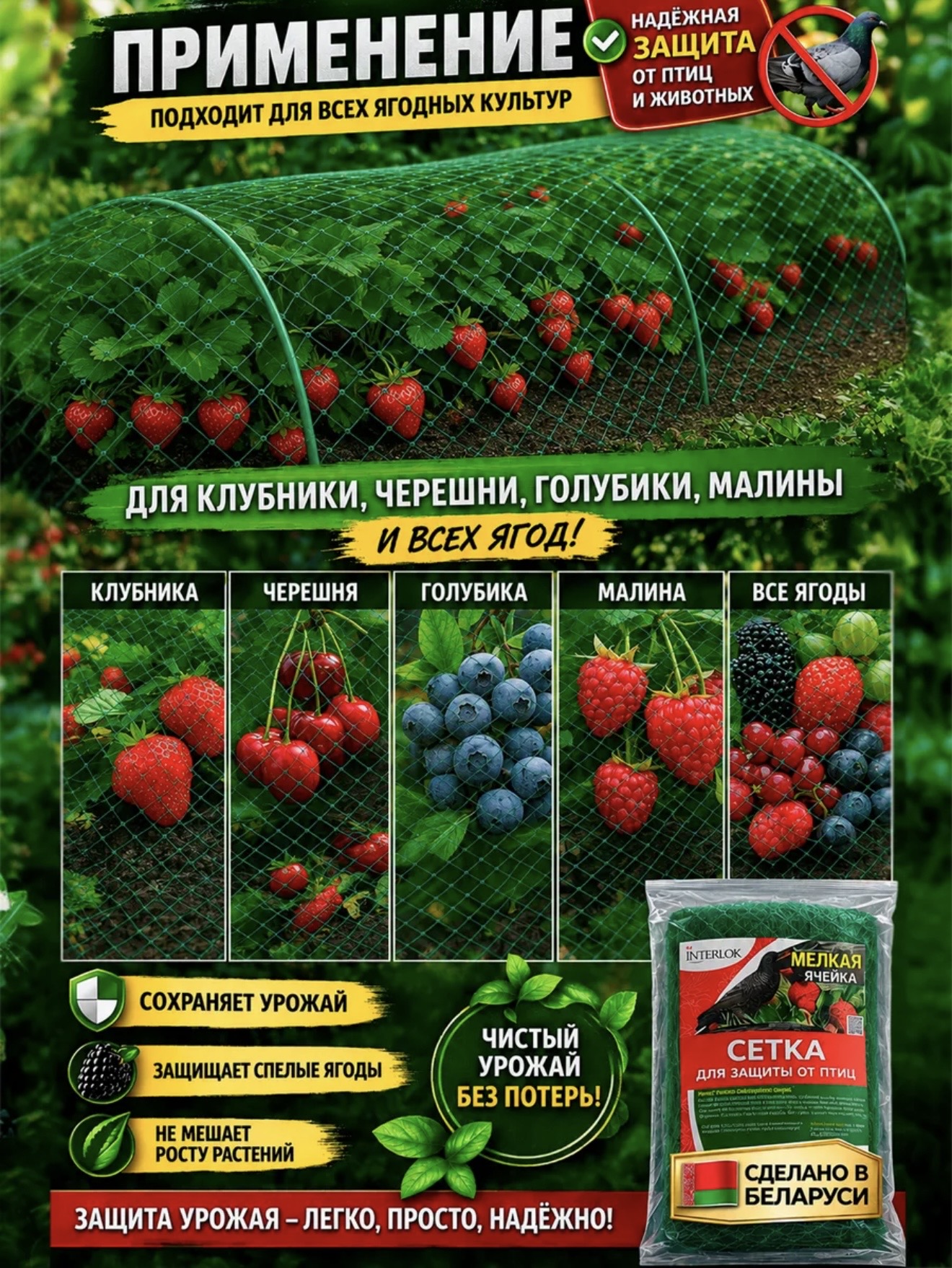 Ягодные культуры: пример использования защитной сетки